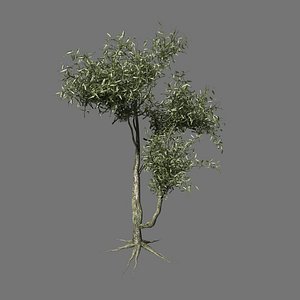 hq olive tree 3d 3ds