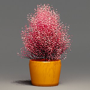 vase plant 3D