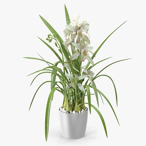 3D White Orchid Pot