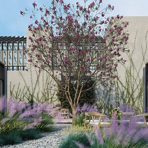 Pink Flamingo Muhly Grass
