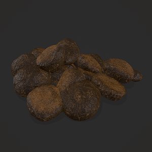 Horse Poop