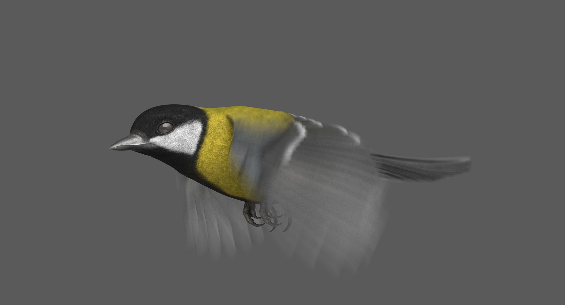 3D great tit animation https://p.turbosquid.com/ts-thumb/Dr/Q6TlIa/C0ywiMzm/ra03/jpg/1552221422/1920x1080/fit_q87/675ce34b3d53884b707b33365a9311be72fbd585/ra03.jpg