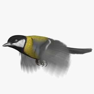 Great Tit (Animated)
