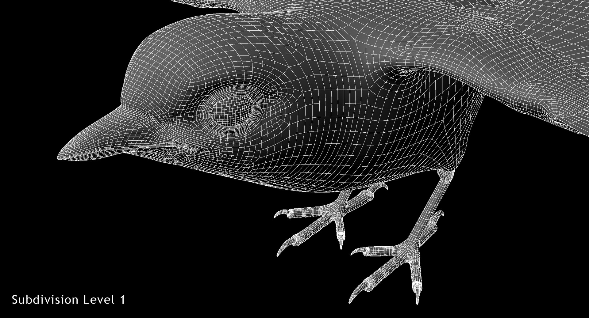 3D great tit animation https://p.turbosquid.com/ts-thumb/Dr/Q6TlIa/V2oE2k0l/w6/jpg/1550659482/1920x1080/fit_q87/8f39083a6b51b0a9f37427d2dc633713079ec7dd/w6.jpg