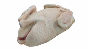 TURKEY 3D model