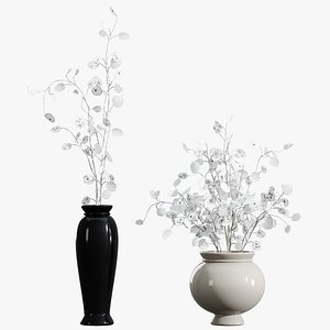 AV Bouquet White Moon Flower Lunaria Honesty Money Vase