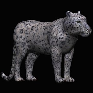 fully rigged snow leopard 3D