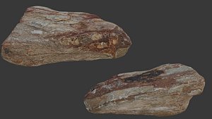 Layered Sedimentary Rock Scan