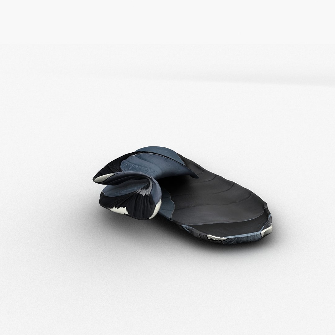 3d model sleep bag https://p.turbosquid.com/ts-thumb/Dr/WpkZ34/dPQPL4oN/04/jpg/1338358167/1920x1080/fit_q87/c4e775d66fd92a318fc742c2a02984d726246dc8/04.jpg