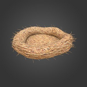 3D nest model