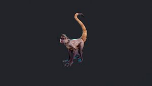 Monkey Character