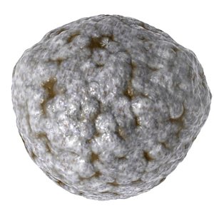 Fat Cell