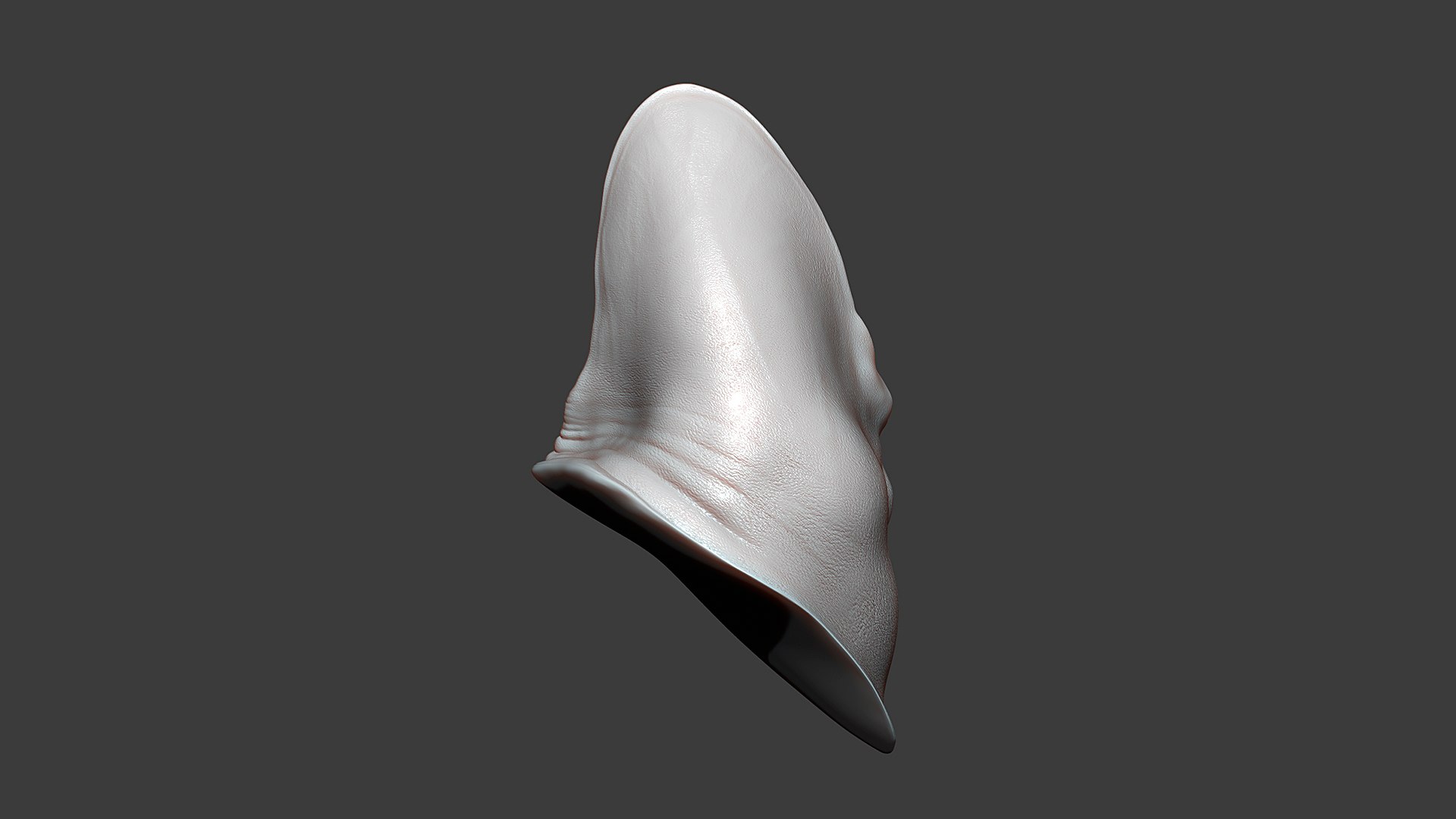 3D Cat Ear Highpoly Sculpt - TurboSquid 1804950
