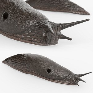Garden Slug Crawling Animated Rigged for Blender