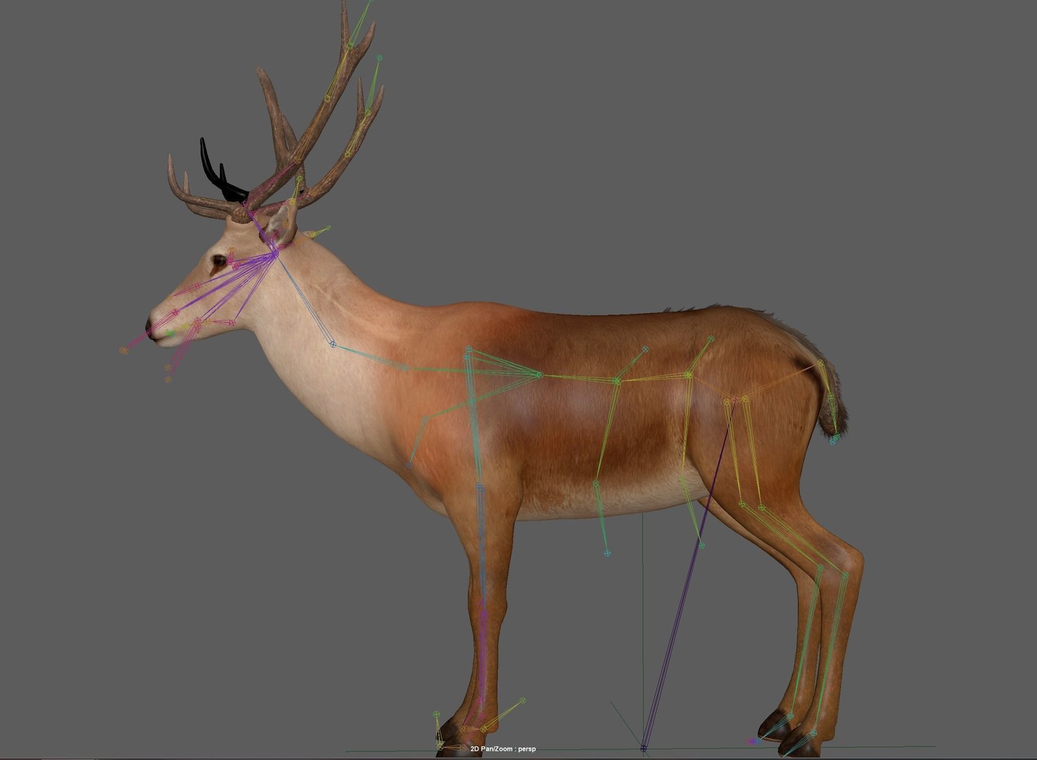 Deer Rigged 3D Model - TurboSquid 1867450