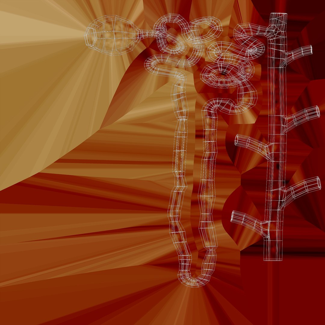 Kidney Nephron Unhealthy  Damaged structure 3D model https://p.turbosquid.com/ts-thumb/Ds/Ivk7w0/FS/tunule_uv/png/1621960942/1920x1080/fit_q87/b887c04c37eaf63c1ad1140b39928681189b11d3/tunule_uv.jpg