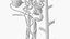 Kidney Nephron Unhealthy  Damaged structure