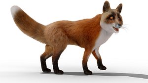 3D FurFoxRigged 02