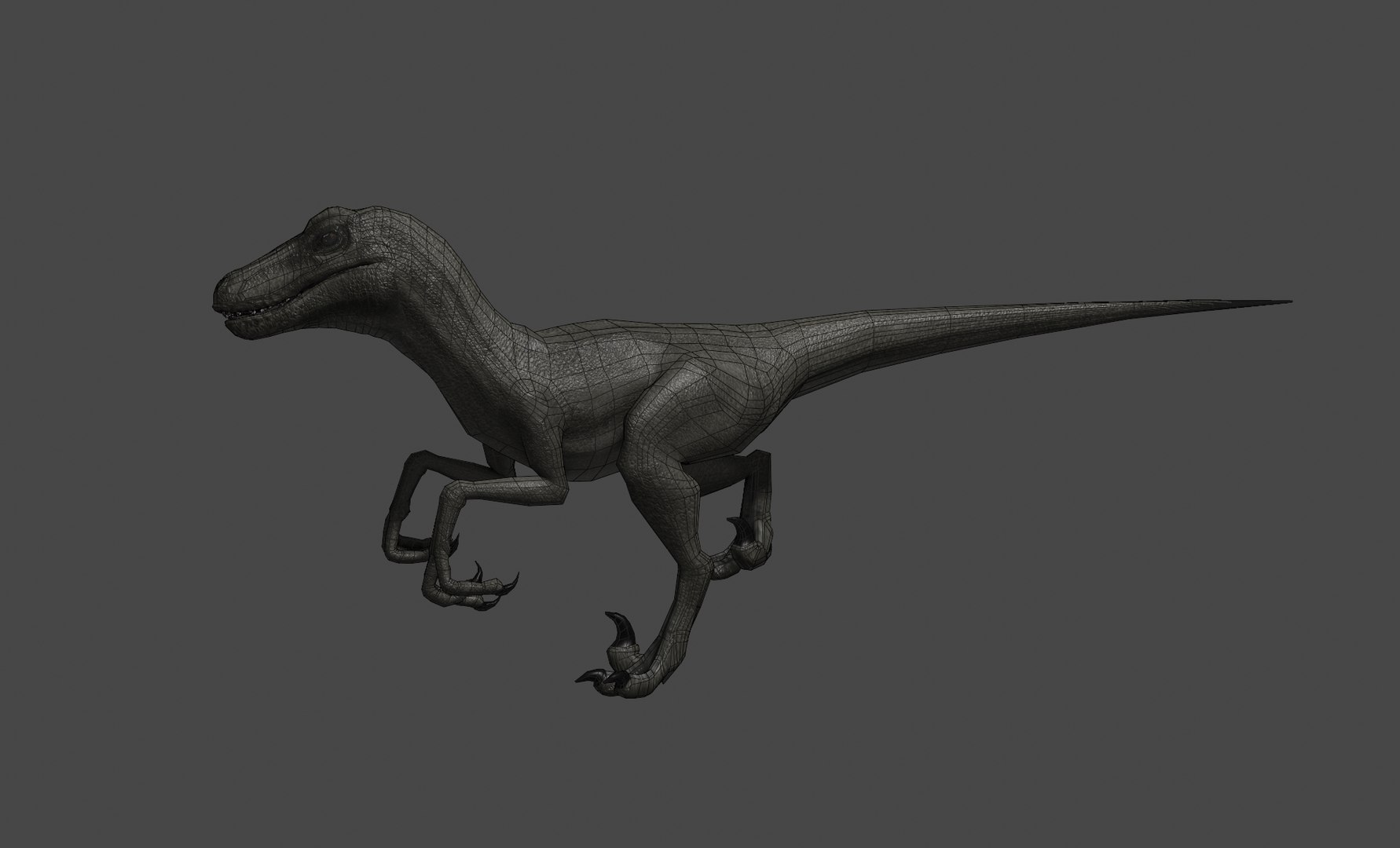 3D Model Raptor - TurboSquid 2310028