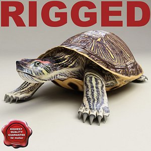 3d turtle red-eared slider rigged model