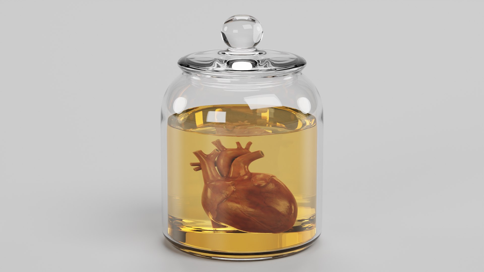 3D Model Heart In Jar - TurboSquid 2030396