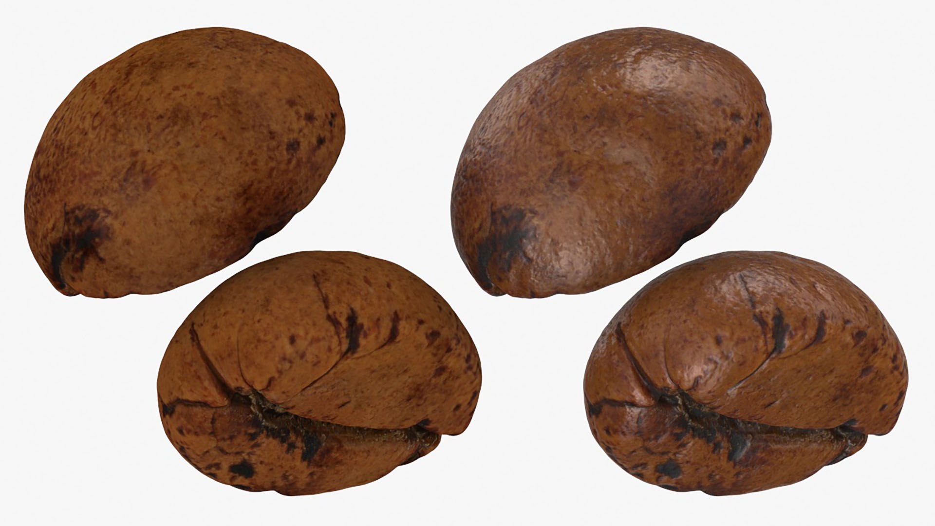 Coffee Bean Collection 4 3D model https://p.turbosquid.com/ts-thumb/Ds/oNTQmf/5F/coffeebean04_a0003/jpg/1728216213/1920x1080/fit_q87/36e6f8e2fb9175ed442733e6137989fae83f8711/coffeebean04_a0003.jpg