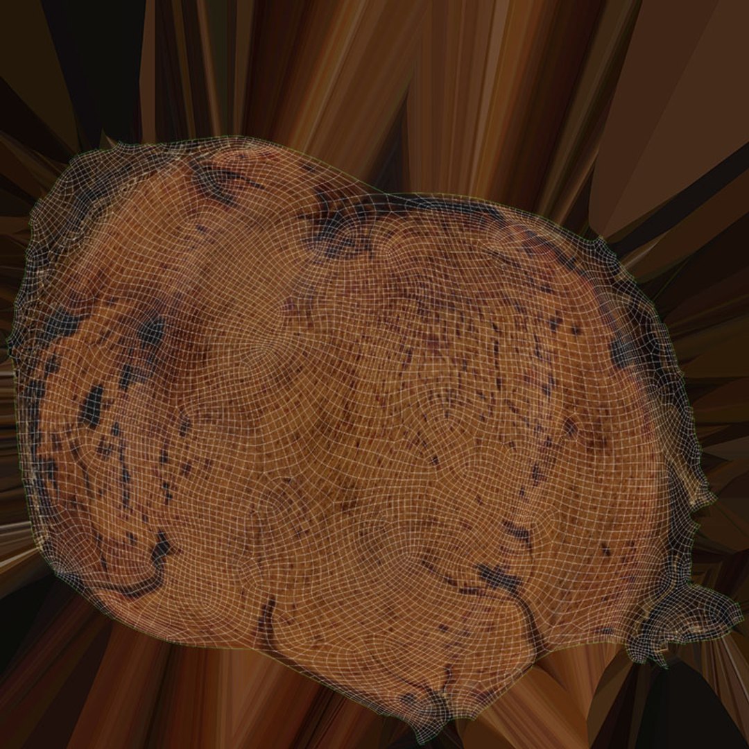 Coffee Bean Collection 4 3D model https://p.turbosquid.com/ts-thumb/Ds/oNTQmf/Xp/coffeebean04_d0004/jpg/1727008770/1920x1080/fit_q87/b039ad63b16ece3ae72917df6ef0dc1884d46799/coffeebean04_d0004.jpg