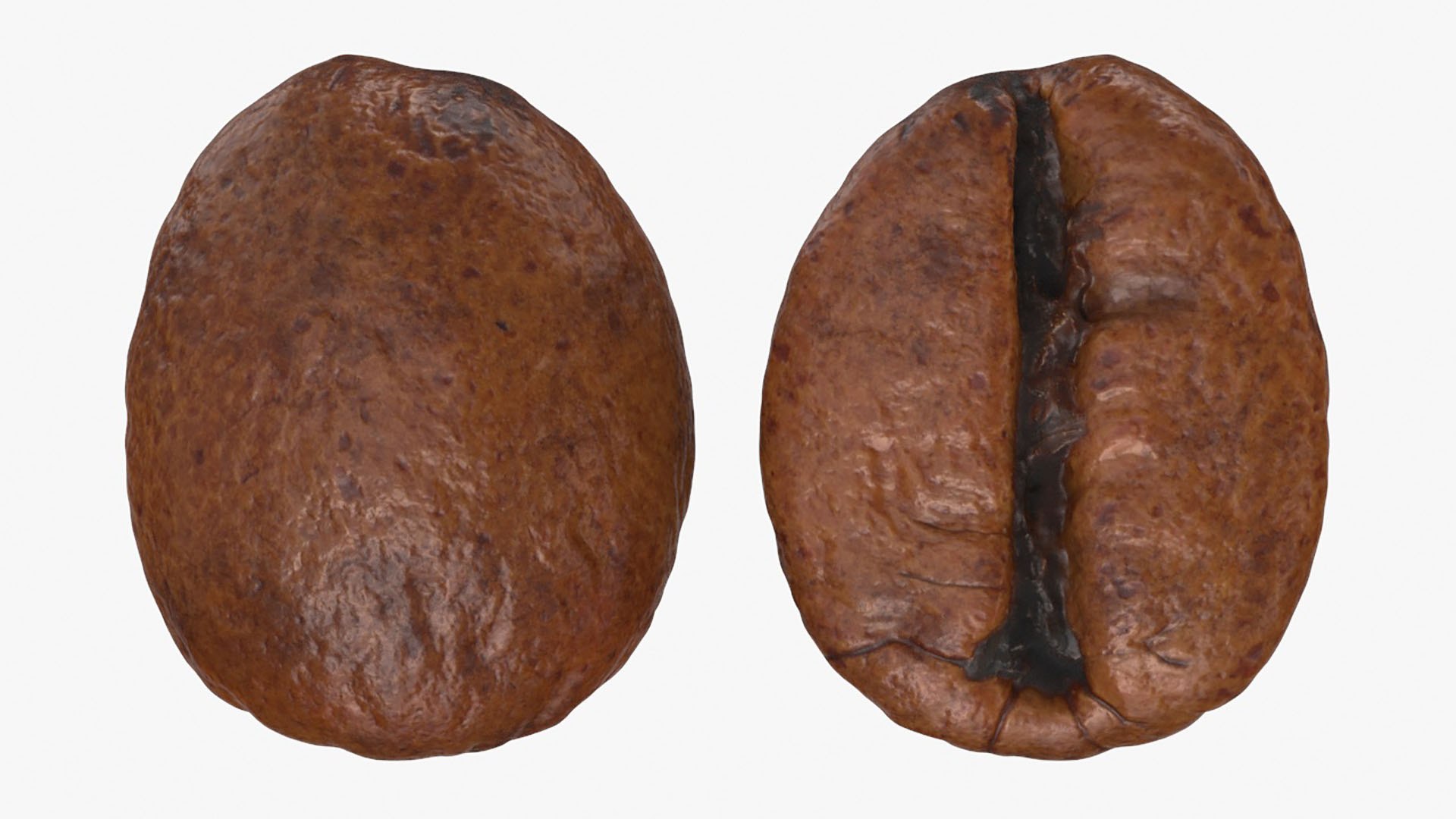 Coffee Bean Collection 4 3D model https://p.turbosquid.com/ts-thumb/Ds/oNTQmf/oy/coffeebean02_a0002/jpg/1728216209/1920x1080/fit_q87/ff8f0cf76c0f0e114193941cf423ba32a1312554/coffeebean02_a0002.jpg