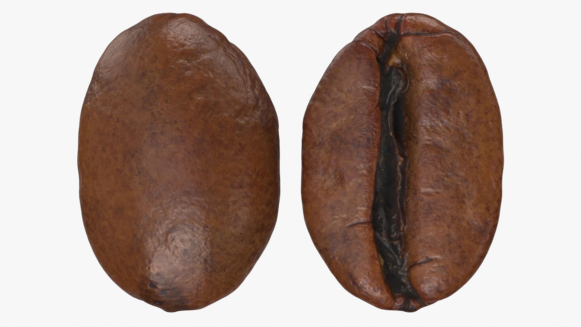 Coffee Bean Collection 4 3D model https://p.turbosquid.com/ts-thumb/Ds/oNTQmf/vJ/coffeebean03_a0002/jpg/1728216211/1920x1080/fit_q87/3c91a036dd4f22f1623234cff1bee9ebb42c6c1a/coffeebean03_a0002.jpg