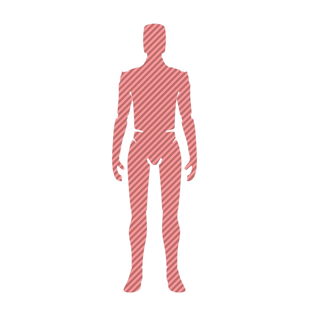 Human Body 3D Model - TurboSquid 2282456