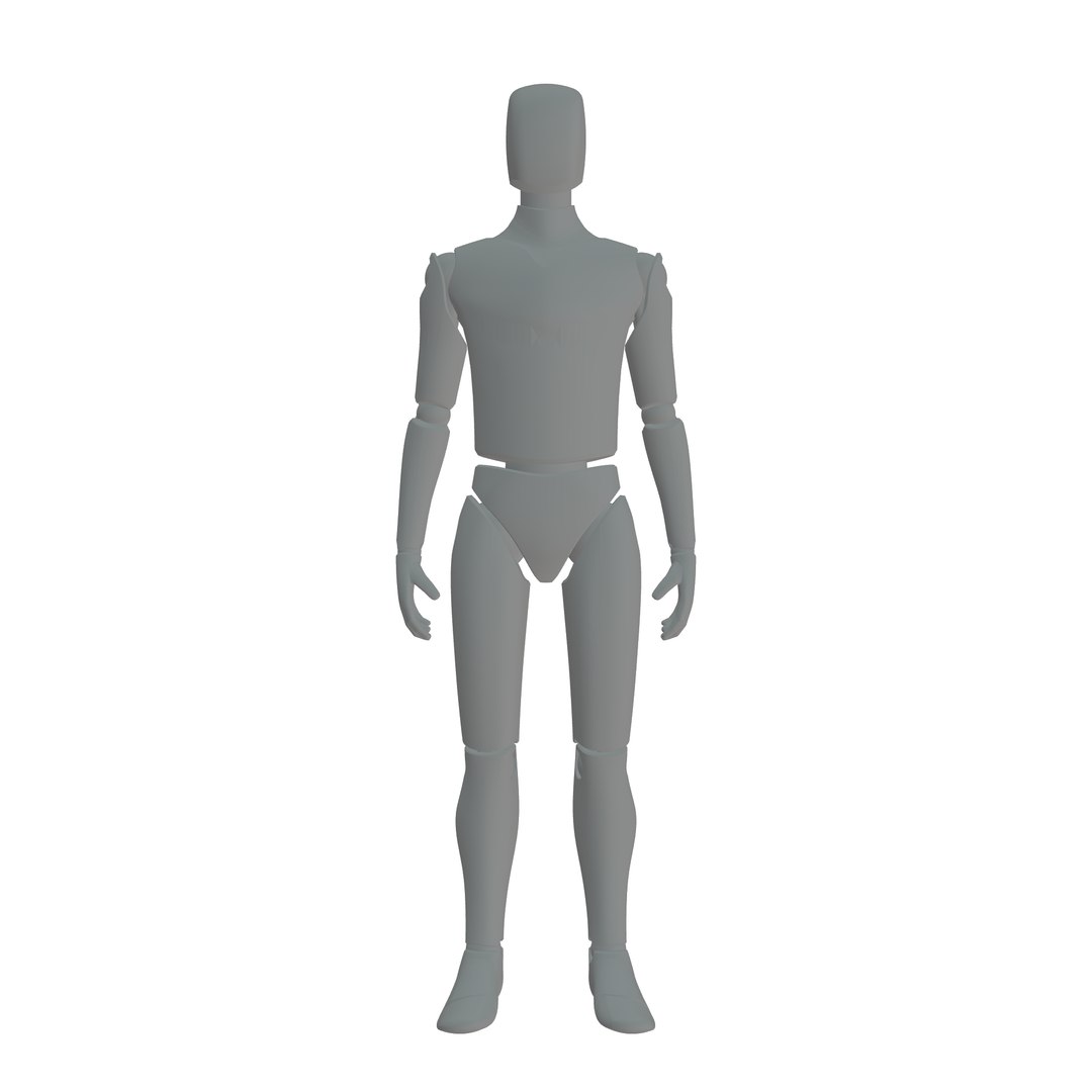 Human Body 3D Model - TurboSquid 2282456