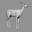 White Tailed Doe(FUR)(ANIMATED)