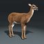 White Tailed Doe(FUR)(ANIMATED)