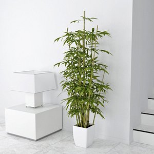 3d Model Bamboo