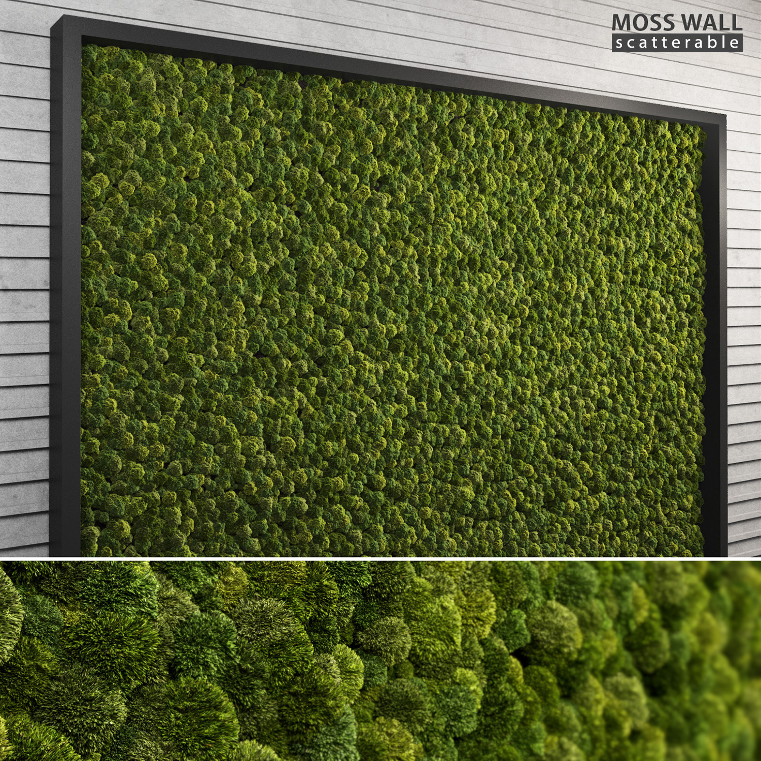 moss wall multiscatter scattering 3d model