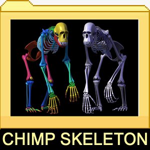 max chimp skeleton bones
