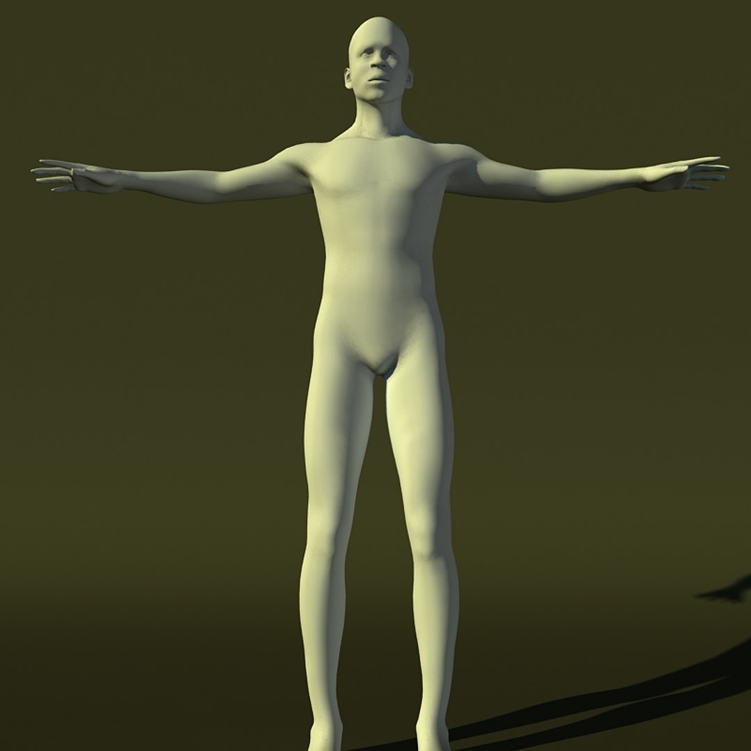 Human Male 3d Model