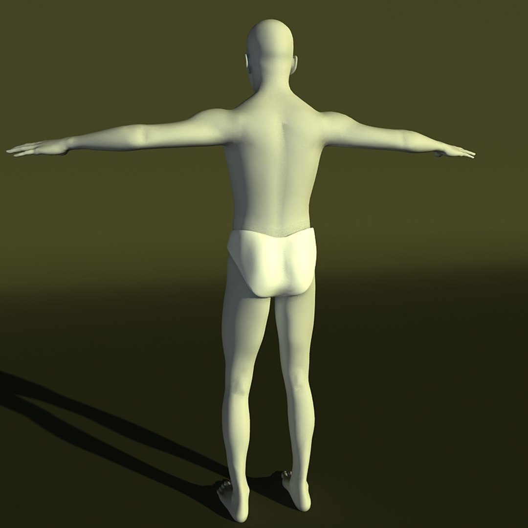 Human Male 3d Model