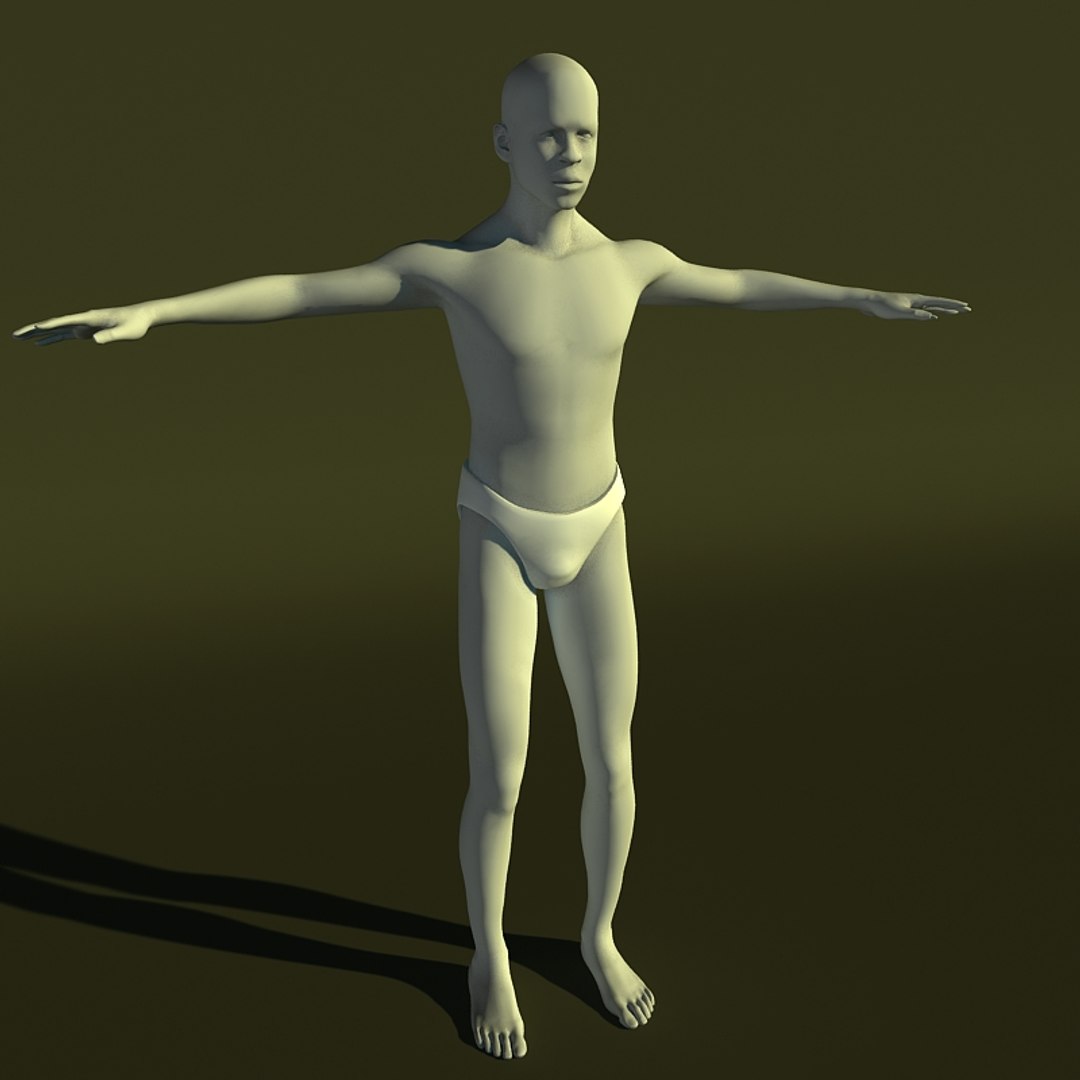 Human Male 3d Model