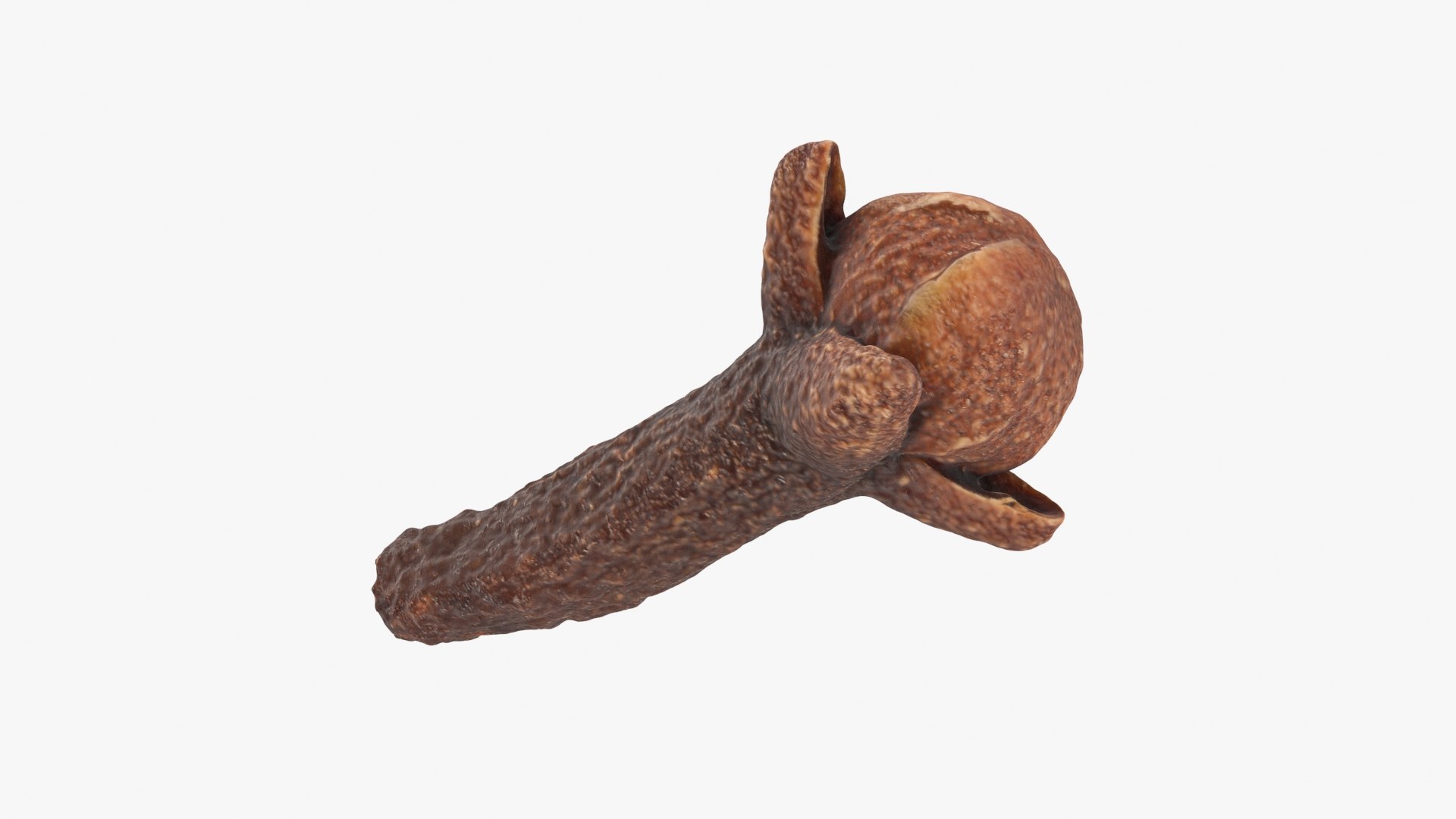 Clove 02 3D model https://p.turbosquid.com/ts-thumb/Dt/KijPT5/dQ/clove02_b0022/jpg/1733119791/1920x1080/fit_q87/8f09b6b16dba7b0ca1764b9c48fb268fd24a8004/clove02_b0022.jpg