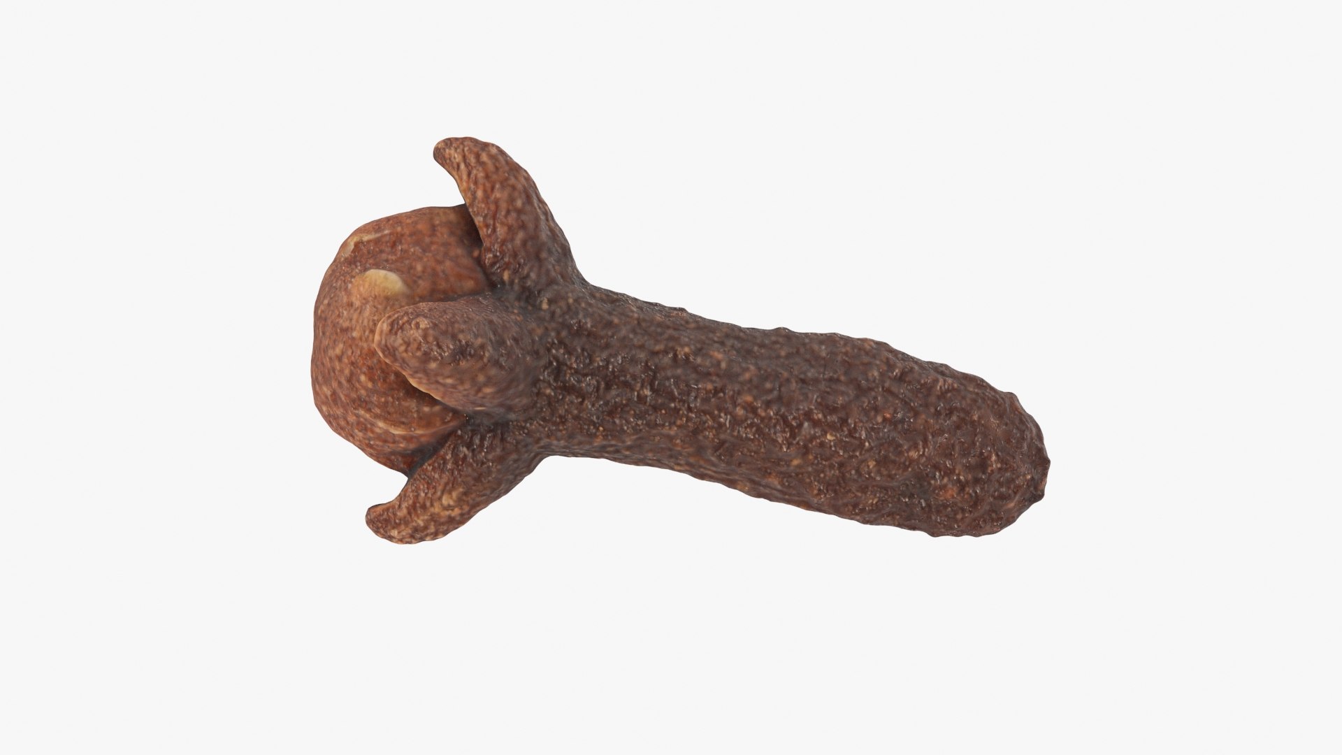 Clove 02 3D model https://p.turbosquid.com/ts-thumb/Dt/KijPT5/jE/clove02_b0020/jpg/1733119790/1920x1080/fit_q87/680b37afffc71fe9dd31f5d2c687379aef8763cf/clove02_b0020.jpg