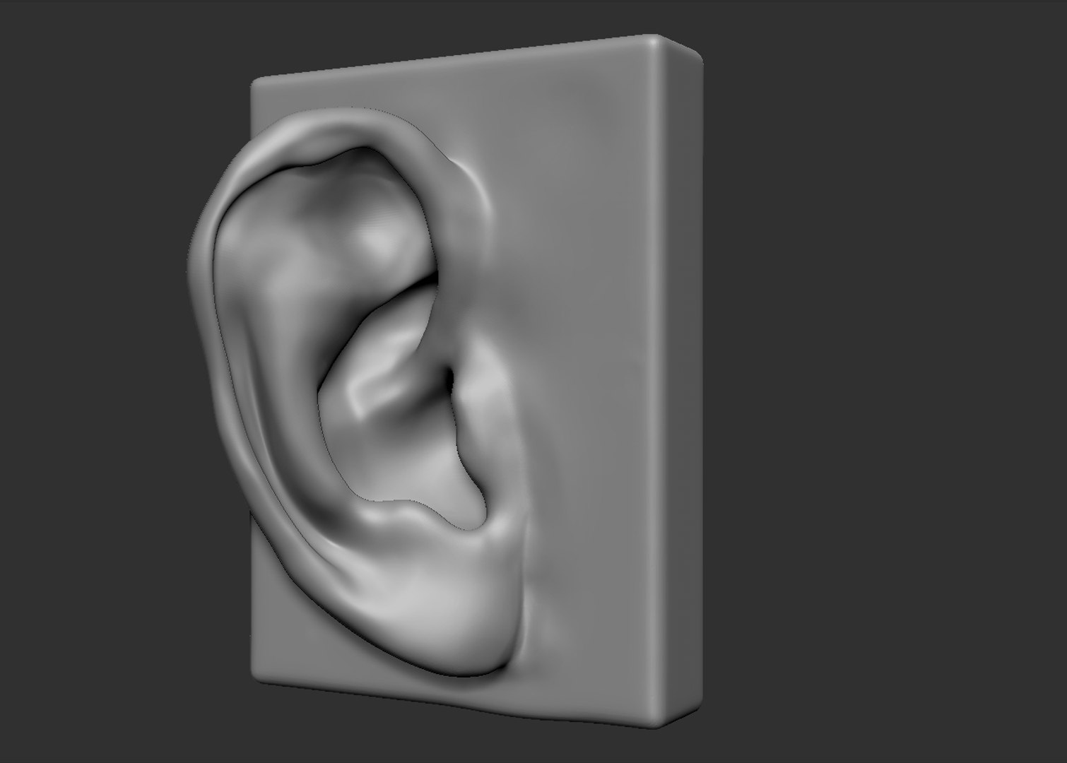 3d Model Of Head Parts Ear