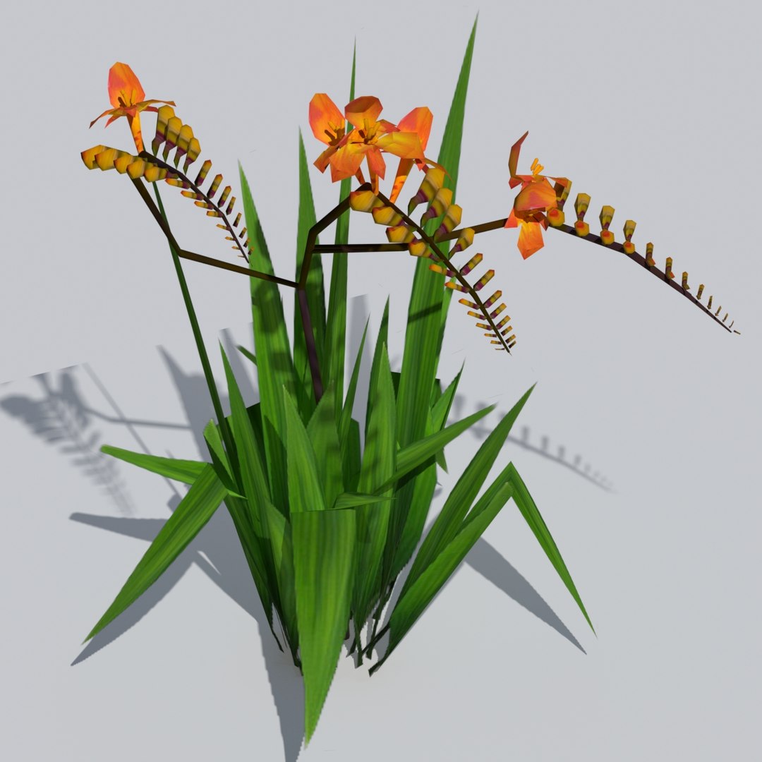 crocosmia lucifer flowers 3d obj https://p.turbosquid.com/ts-thumb/Dt/RX3gj4/G93vFRJW/crocosmia5/jpg/1489616212/1920x1080/fit_q87/8956c9886696b45dbb88b5859d8fef3d4c2771bd/crocosmia5.jpg