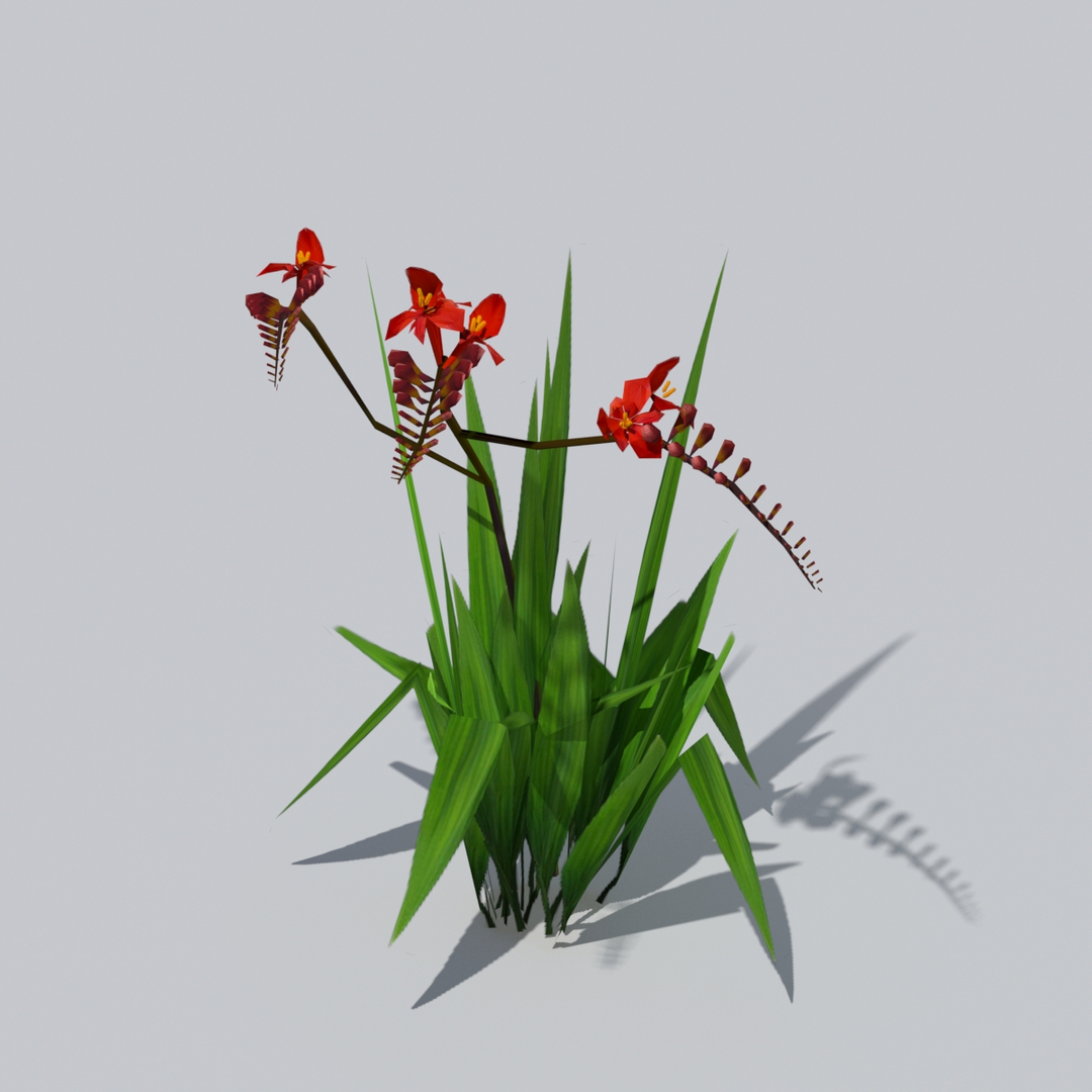 crocosmia lucifer flowers 3d obj https://p.turbosquid.com/ts-thumb/Dt/RX3gj4/M4Y4Hbo1/crocosmia/jpg/1489616263/1920x1080/turn_fit_q99/433c7b9444c0139550019eaf9b04cec5663000fd/crocosmia-1.jpg