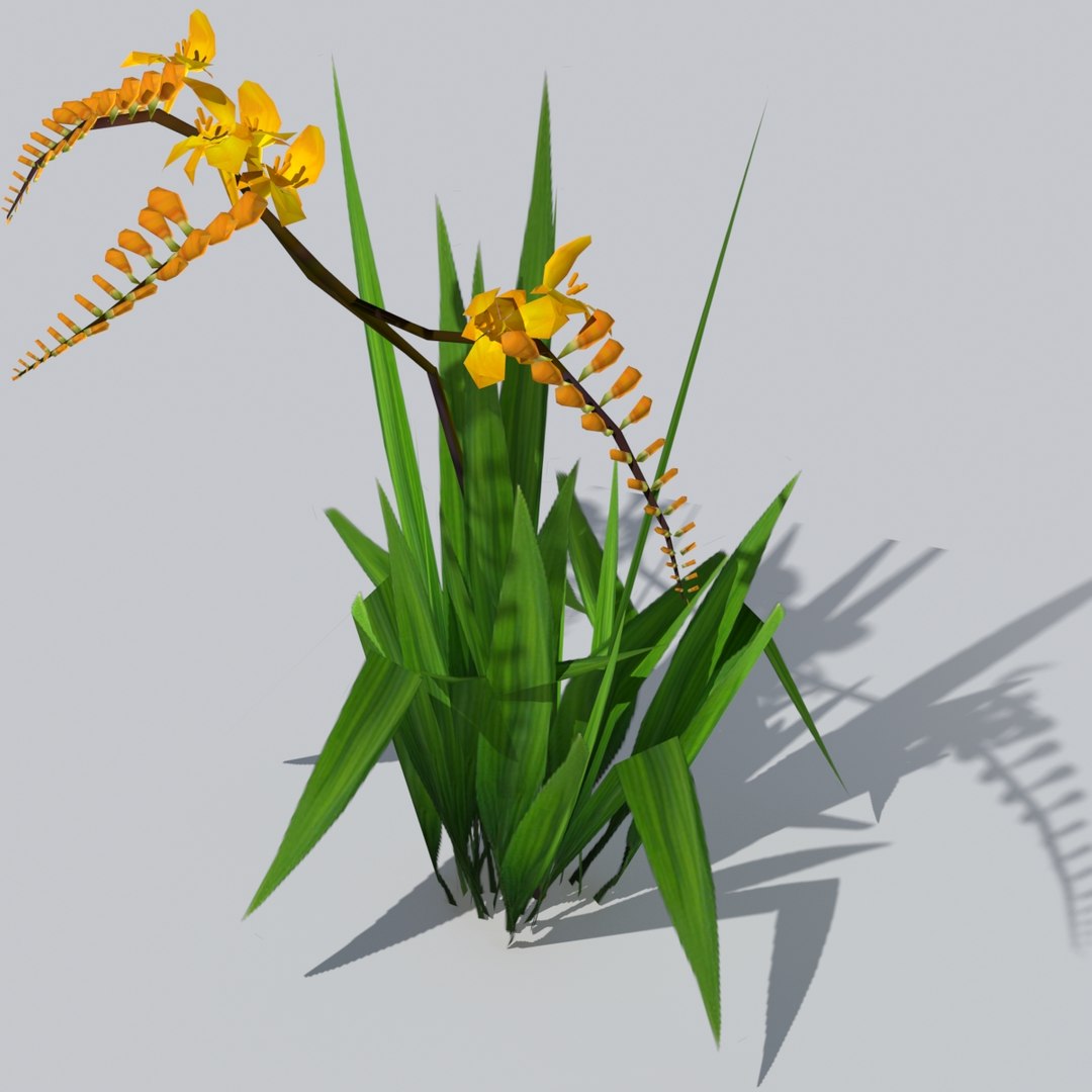crocosmia lucifer flowers 3d obj https://p.turbosquid.com/ts-thumb/Dt/RX3gj4/McR4ElgX/crocosmia4/jpg/1489616212/1920x1080/fit_q87/307976dfb040396c591938dd70f7583ba2ddb3a5/crocosmia4.jpg