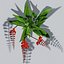 Crocosmia Lucifer