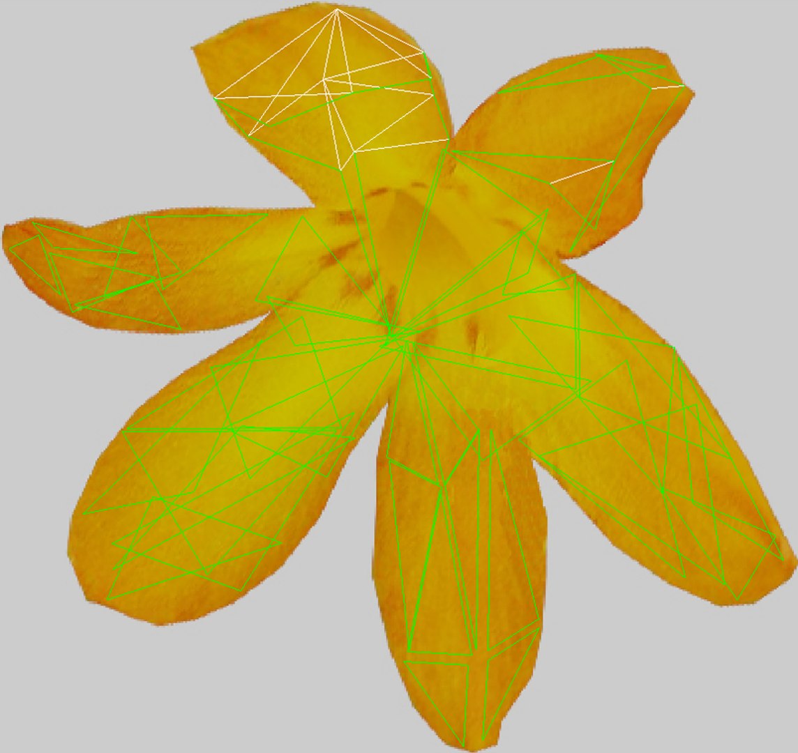 crocosmia lucifer flowers 3d obj https://p.turbosquid.com/ts-thumb/Dt/RX3gj4/tE9wgJk2/unwrapy/jpg/1489618840/1920x1080/fit_q87/af1c580554456fb5a46bf7dcd99f12476c1de46b/unwrapy.jpg