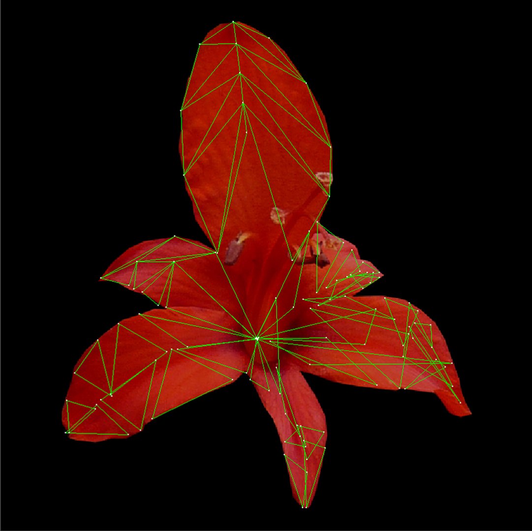 crocosmia lucifer flowers 3d obj https://p.turbosquid.com/ts-thumb/Dt/RX3gj4/x9DTQrz0/unwrap2/jpg/1489618840/1920x1080/fit_q87/7814b166b22634478ed80845f83ce9579ea81293/unwrap2.jpg