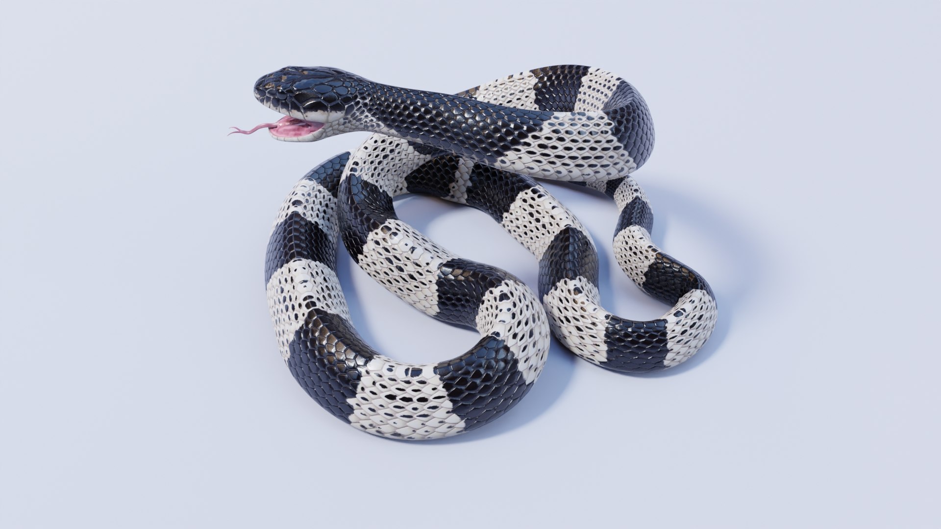 Animated Malayan Krait 3D https://p.turbosquid.com/ts-thumb/Dt/ZEO2s5/LG/malayankrait_prev_01/jpg/1661639664/1920x1080/fit_q87/5ed617db6ee592a74a3acb14597f45411db11553/malayankrait_prev_01.jpg