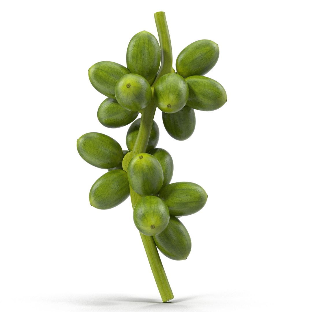 Green Coffe Bean Bunch 3D model preview